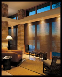 Hunter_Douglas_Alustra_Woven_Textures_in_Denver.jpg